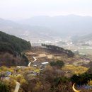 지리산계곡 Daum카페