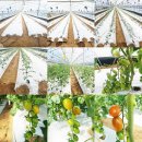 행구농장 이미지