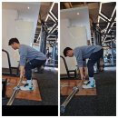동홍 | 서귀포 헬스장 일일권 마인드 휘트니스 동홍점 후기