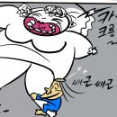 지푸락 이미지