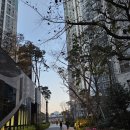 클라시아정문단지내공인중개사사무소 이미지