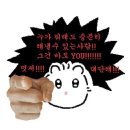 온더블룸 네이버블로그