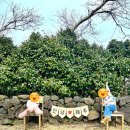 스테이552 이미지