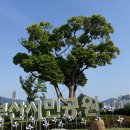 부산시민공원 이미지