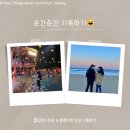 비고리조트 8 이미지