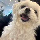 24시 포항 이음동물의료센터 이미지