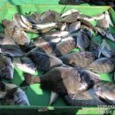 방파제 낚시 편의점 이미지