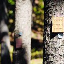 (주)힐링&자연 이미지