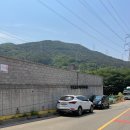 양산 캠핑 고기집 애견동반 베리바베큐 양산물금점
