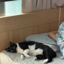 강대희한의원 네이버블로그
