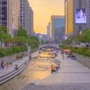 정도 행정사 사무소 이미지