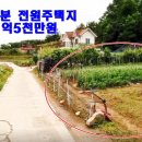 운정농장 이미지