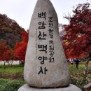 서부산악회 제414차 장성 백암산(백양사) 단풍산행(2023.11.05) 이미지