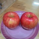 부사시장 | 맛있는 부사사과 설선물 추천, 아삭아삭 과즙가득영주농부네 사과 가격