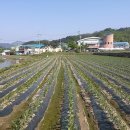 송광주유소 이미지