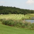 스프링데일 골프&리조트 이미지