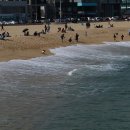 경포의휴일 이미지