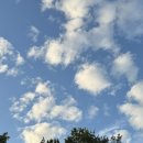 자이언티 헤이즈 | 난지한강공원 모모콘 페스티벌 후기 (성시경, 자이언티 공연영상)