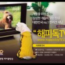 해피독(happy dog) 이미지