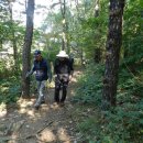 금빛환경 이미지