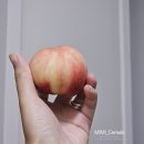 한국농산 | 여름 과일 추천 딱복이 먹고싶을 땐 삼일농산 대극천 복숭아 후기