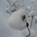안*진 - 미추홀구 소성로 120 | 안*진