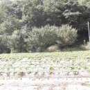 평사농장 이미지