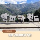 버스승차대 15-211 | 4월 5월 국내여행지 추천 아이랑 가볼만한 곳 알파카월드 할인 정보