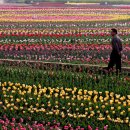 마금산온천 이미지