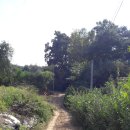 영빈농장 이미지