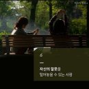 춘그린 이미지