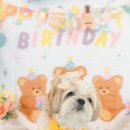 아따멍멍 이미지