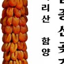 김종선농장 이미지