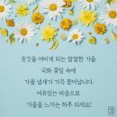 대천여자중학교 이미지