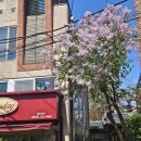 대선목장 | 기록용 일상일기 - 봄~ 늦여름까지