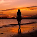 달빛되어 이미지