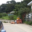 은하펜션 네이버블로그