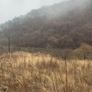 무주 풀빌라 옐로스톤 | 무주 설천면 대가족여행때 가기좋은 풀빌라 옐로스톤 리얼후기