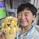 홈런볼 3종 비교 추천! 초코, 소금우유, 두바이스타일 피스타치오 후기
