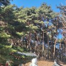 팔성사 - 1243 | 팔성사