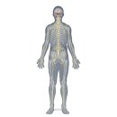 진주경희한의원 이미지