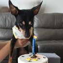 프프프 스토어 이미지