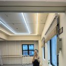 발레베리떼 이미지