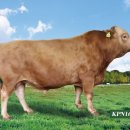 유전2농장 이미지