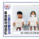 효성비각태권도장 이미지