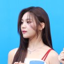 엄지체육관 스포티비뉴스