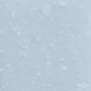 전주약국 이미지