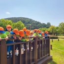 창원 진동리 유적 이미지