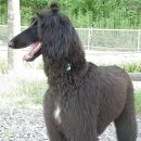 패밀리농장 이미지