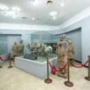 서복전시관 이미지